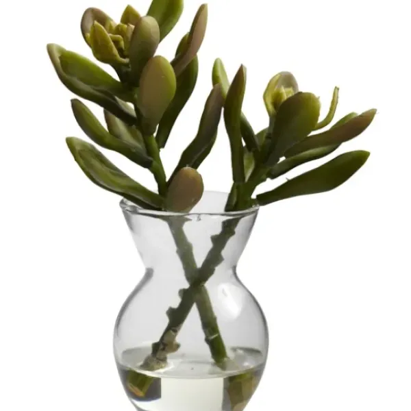 Arrangements & Greenery-Kirkland's Home Succulents In Glass Vases, Set Of 3 Green