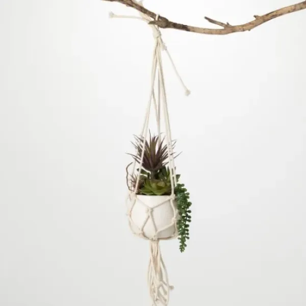 Arrangements & Greenery-Kirkland's Home Succulents In Hanging Macrame Planter Green/White