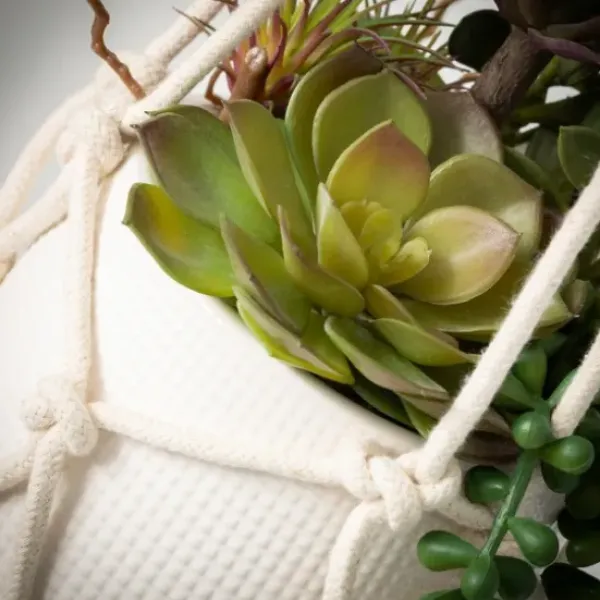 Arrangements & Greenery-Kirkland's Home Succulents In Hanging Macrame Planter Green/White