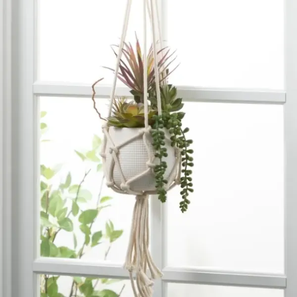 Arrangements & Greenery-Kirkland's Home Succulents In Hanging Macrame Planter Green/White