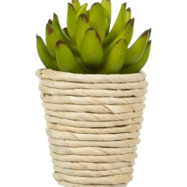 Arrangements & Greenery-Kirkland's Home Succulents In Twine Planters, Set Of 3 Green/White