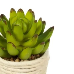 Arrangements & Greenery-Kirkland's Home Succulents In Twine Planters, Set Of 3 Green/White