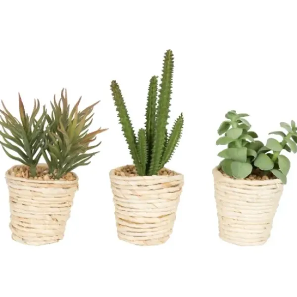 Arrangements & Greenery-Kirkland's Home Succulents In Twine Planters, Set Of 3 Green/Tan