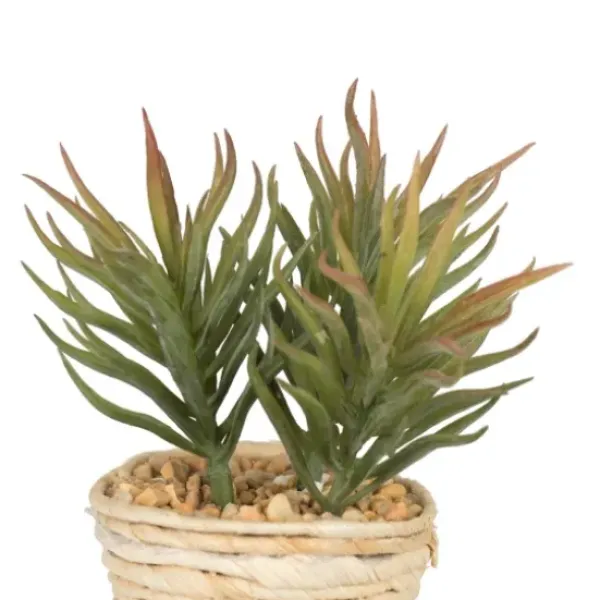 Arrangements & Greenery-Kirkland's Home Succulents In Twine Planters, Set Of 3 Green/Tan