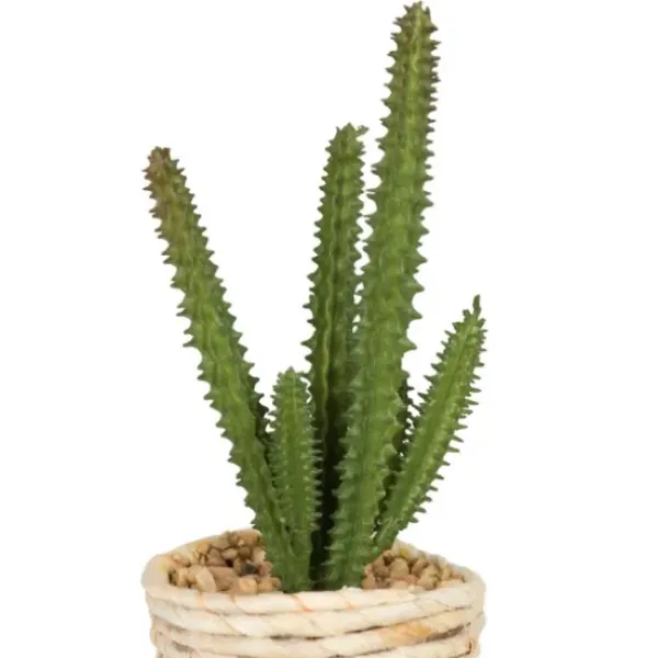 Arrangements & Greenery-Kirkland's Home Succulents In Twine Planters, Set Of 3 Green/Tan