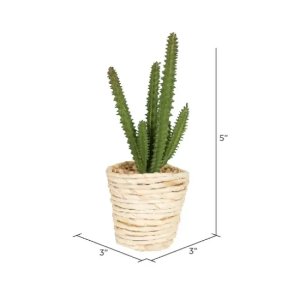 Arrangements & Greenery-Kirkland's Home Succulents In Twine Planters, Set Of 3 Green/Tan