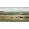 Canvas Art-Kirkland's Home Summer Herd Framed Canvas Art Print Green/Gray