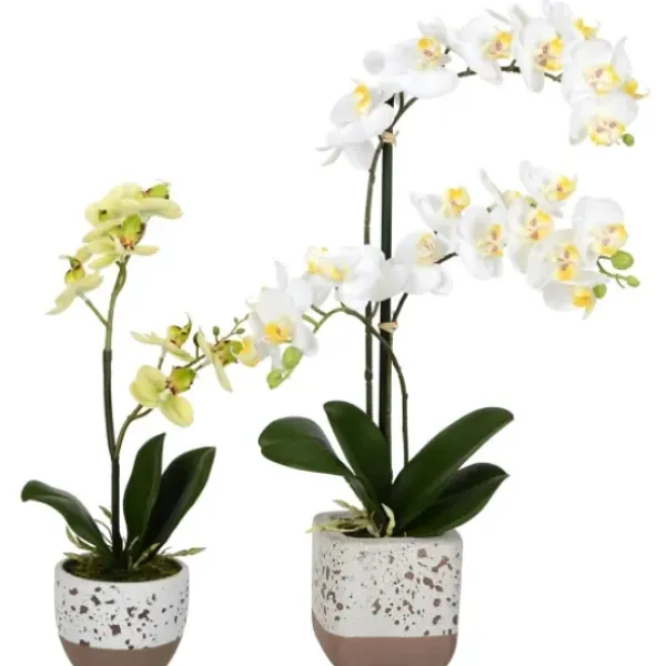 Arrangements & Greenery-Kirkland's Home Sunshine Orchids In Speckled Planters, Set Of 2 Yellow/White