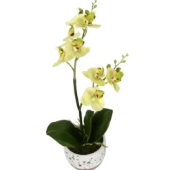 Arrangements & Greenery-Kirkland's Home Sunshine Orchids In Speckled Planters, Set Of 2 Yellow/White