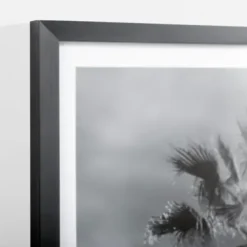 Framed Art-Kirkland's Home Swaying Palms Framed Art Print Black/White