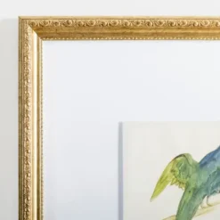 Framed Art-Kirkland's Home The Dark Green Bird Framed Art Print White/Green