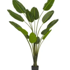 Trees & Topiaries-Kirkland's Home Travelers Palm Potted Tree, 7 Ft.