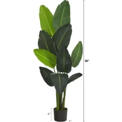 Trees & Topiaries-Kirkland's Home Travelers Palm Tree In Black Planter, 58 In.
