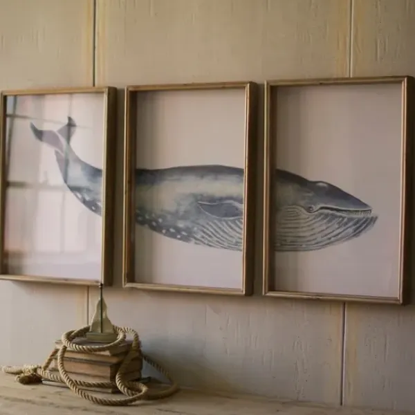 Framed Art-Kirkland's Home Triptych Whale Framed Art Prints, Set Of 3 White/Blue