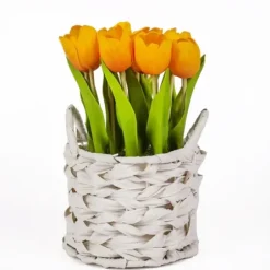 Arrangements & Greenery-Kirkland's Home Tulip Arrangement In Basket Orange
