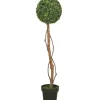 Trees & Topiaries-Kirkland's Home Twisted Trunk Boxwood Ball Topiary