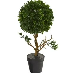 Trees & Topiaries-Kirkland's Home Uv-Safe Boxwood Topiary In Nursery Planter