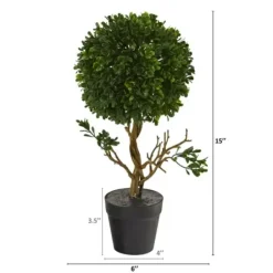 Trees & Topiaries-Kirkland's Home Uv-Safe Boxwood Topiary In Nursery Planter