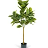 Trees & Topiaries-Kirkland's Home Variegated Rubber Tree In Black Pot, 4 Ft.