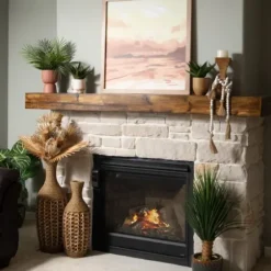 Trees & Topiaries-Kirkland's Home Veined Zebra Palm Potted Plant