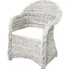 Accent Chairs-Kirkland's Home Wash Banana Leaf Barrel Accent Chair White