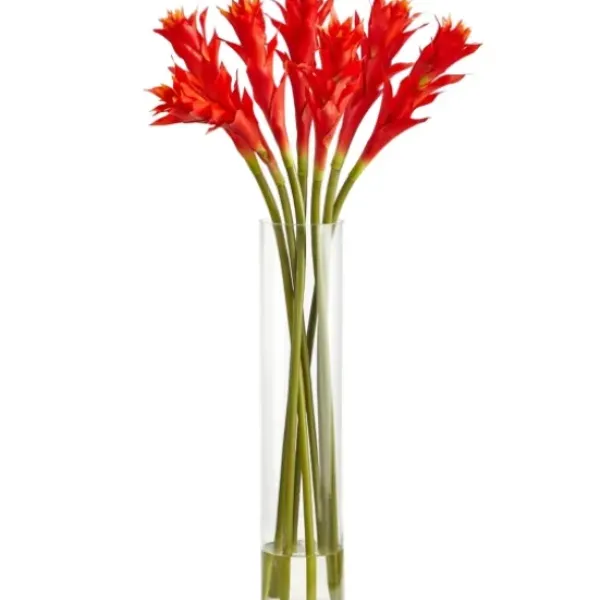 Arrangements & Greenery-Kirkland's Home Watered Star Bromeliad Bouqet In Glass Vase Pink/Green