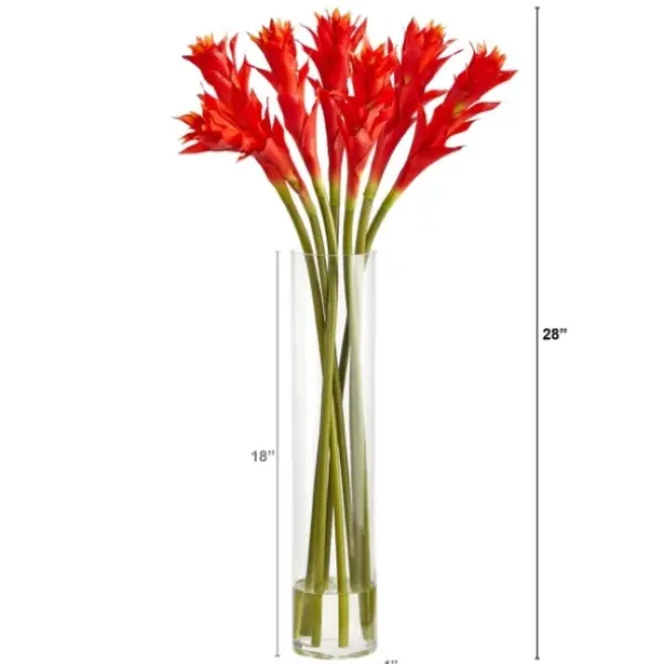 Arrangements & Greenery-Kirkland's Home Watered Star Bromeliad Bouqet In Glass Vase Pink/Green