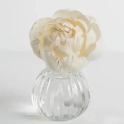 Home Fragrance-Kirkland's Home Watermark Flower Petal Diffuser Set