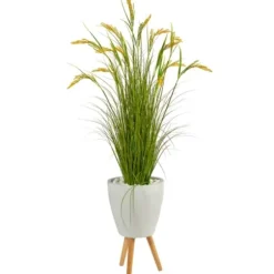 Trees & Topiaries-Kirkland's Home Wheat Grass In White Planter