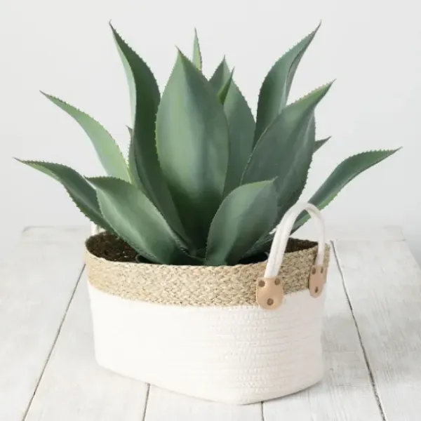 Baskets & Boxes-Kirkland's Home White And Natural Seagrass Woven Baskets, Set Of 3 White/Tan
