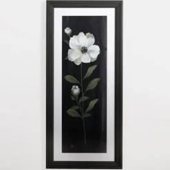 Framed Art-Kirkland's Home White Flower On Black I Framed Art Print White/Black