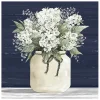 Canvas Art-Kirkland's Home White Flowers Ii Giclee Canvas Print, 30X30 In. Blue/White