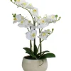 Arrangements & Greenery-Kirkland's Home White Orchid In Round Ceramic Bowl White/Green