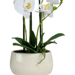 Arrangements & Greenery-Kirkland's Home White Orchid In Round Ceramic Bowl White/Green