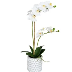Arrangements & Greenery-Kirkland's Home White Orchid Real Touch Arrangement In Ceramic Pot White/Green