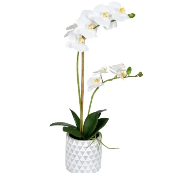 Arrangements & Greenery-Kirkland's Home White Orchid Real Touch Arrangement In Ceramic Pot White/Green