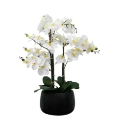 Arrangements & Greenery-Kirkland's Home White Real Touch Orchid Arrangement In Black Pot White/Black