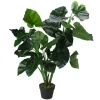 Trees & Topiaries-Kirkland's Home Wide Leaf Taro Plant With Moss