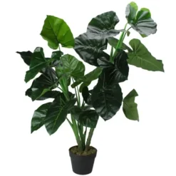Trees & Topiaries-Kirkland's Home Wide Leaf Taro Plant With Moss