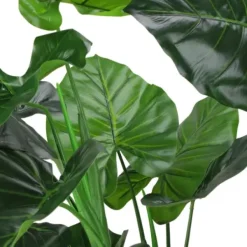 Trees & Topiaries-Kirkland's Home Wide Leaf Taro Plant With Moss