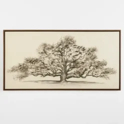 Canvas Art-Kirkland's Home Wide Oak Tree Framed Art Print White/Gray