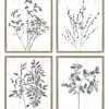 Framed Art-Kirkland's Home Wild Golden Floral 4-Pc. Framed Art Print Set Black/White