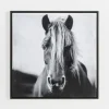 Framed Art-Kirkland's Home Wild Horse Framed Canvas Art Print Black/White