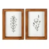 Framed Art-Kirkland's Home Wildflower Stems Framed Art Prints, Set Of 2 White/Black