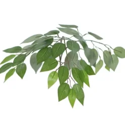 Trees & Topiaries-Kirkland's Home Wood Trunk Ficus Bush In Rattan Basket