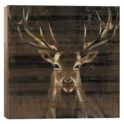 Wall Plaques-Kirkland's Home Young Buck Wood Art Print Brown