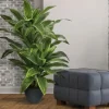 Trees & Topiaries-Kirkland's Home Yucca Natural Touch Plant, 42 In.