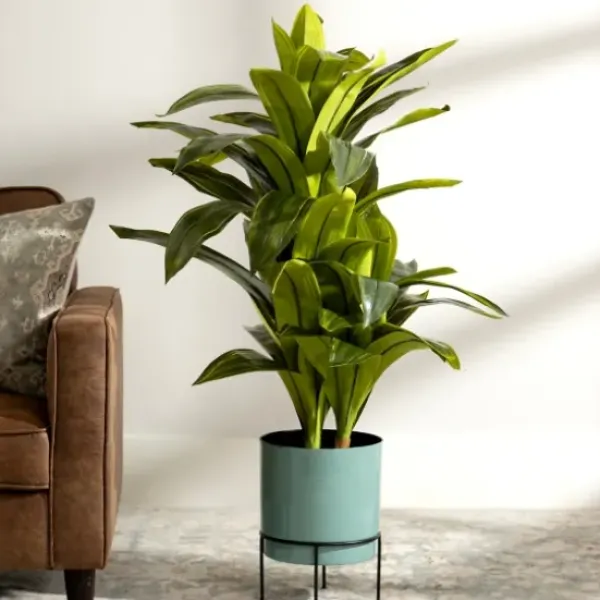 Trees & Topiaries-Kirkland's Home Yucca Natural Touch Plant, 42 In.