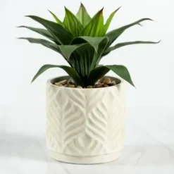 Arrangements & Greenery-Kirkland's Home Yucca Plant In Ceramic Planter Green/White