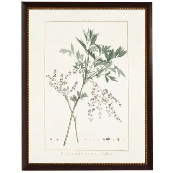 Framed Art-Kirkland's Home Zanthorhiza Greenery Black Beaded Framed Art Print Ivory/Green